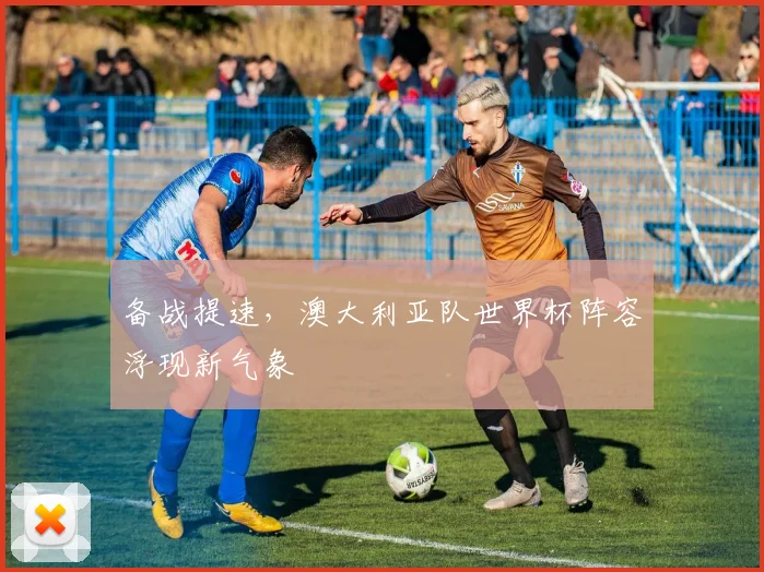 备战提速,澳大利亚队世界杯阵容浮现新气象 - 竞彩网推荐