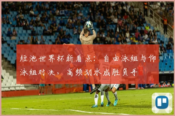 短池世界杯新看点:自由泳组与仰泳组对决,高频划水成胜负手 - 竞彩网推荐